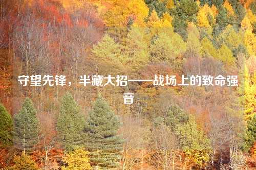 守望先锋，半藏大招——战场上的致命强音