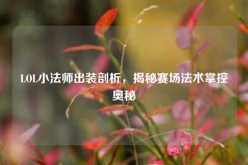 LOL小法师出装剖析，揭秘赛场法术掌控奥秘