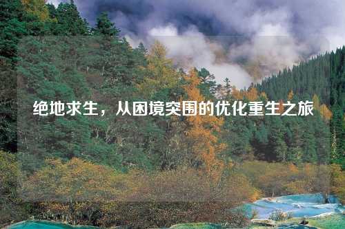 绝地求生，从困境突围的优化重生之旅
