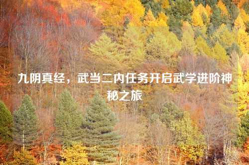 九阴真经，武当二内任务开启武学进阶神秘之旅