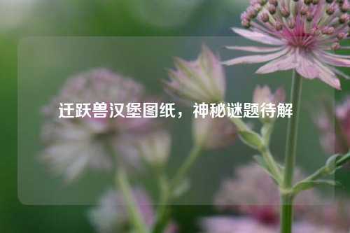 迁跃兽汉堡图纸，神秘谜题待解