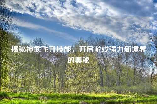 揭秘神武飞升技能，开启游戏强力新境界的奥秘