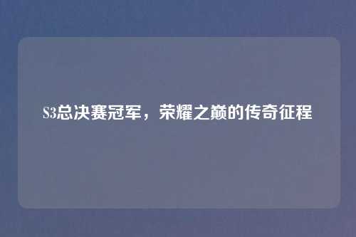 S3总决赛冠军，荣耀之巅的传奇征程
