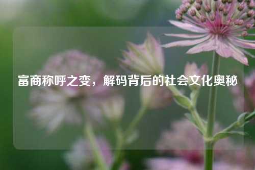 富商称呼之变，解码背后的社会文化奥秘