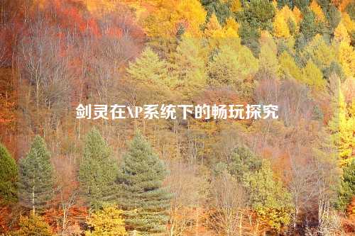 剑灵在XP系统下的畅玩探究