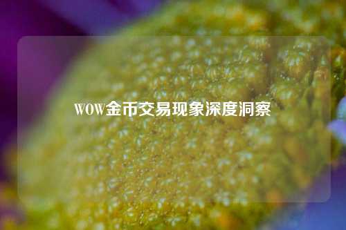 WOW金币交易现象深度洞察
