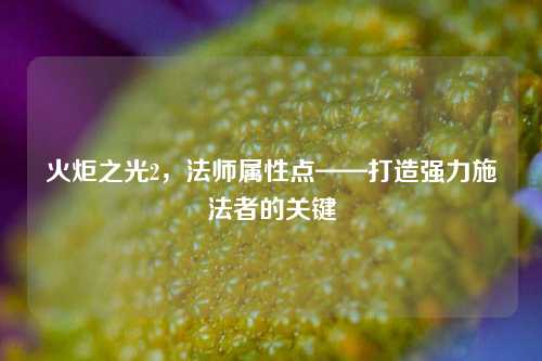火炬之光2，法师属性点——打造强力施法者的关键