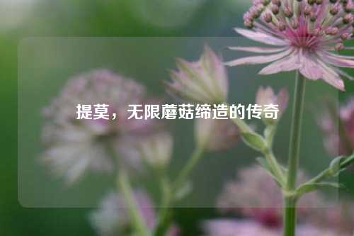 提莫，无限蘑菇缔造的传奇