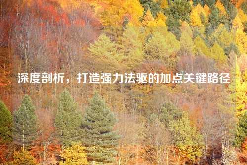 深度剖析，打造强力法驱的加点关键路径