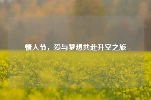 情人节，爱与梦想共赴升空之旅