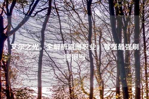 艾尔之光，全解析刷图职业，寻觅最强刷图担当