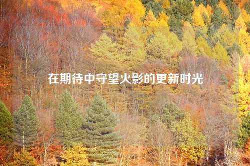 在期待中守望火影的更新时光