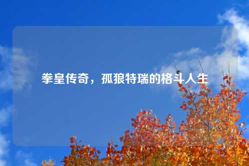 拳皇传奇，孤狼特瑞的格斗人生