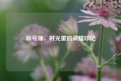 称号簿，时光里的荣耀印记