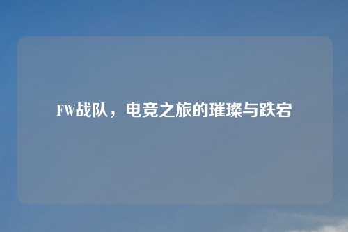 FW战队，电竞之旅的璀璨与跌宕