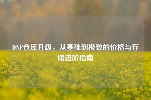 DNF仓库升级，从基础到极致的价格与存储进阶指南