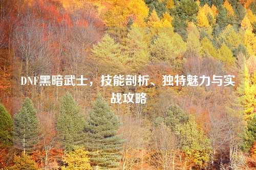 DNF黑暗武士，技能剖析、独特魅力与实战攻略