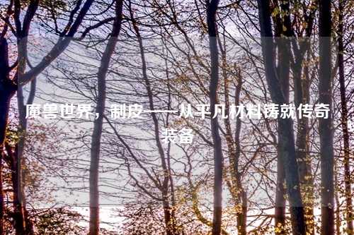 魔兽世界，制皮——从平凡材料铸就传奇装备