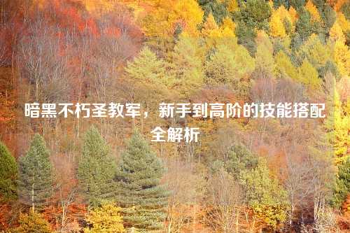 暗黑不朽圣教军，新手到高阶的技能搭配全解析