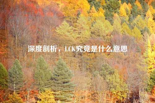 深度剖析，LCK究竟是什么意思