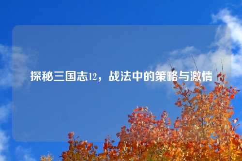 探秘三国志12，战法中的策略与激情