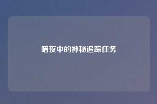 暗夜中的神秘追踪任务
