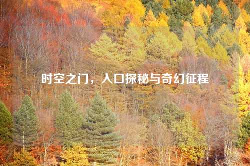 时空之门,入口探秘与奇幻征程