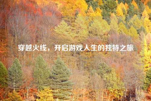 穿越火线,开启游戏人生的独特之旅