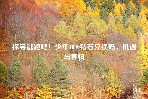 探寻逃跑吧!少年1000钻石兑换码,机遇与真相