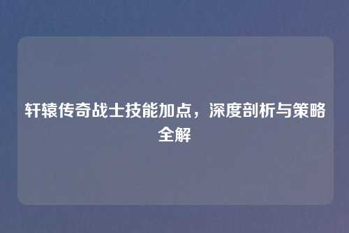 轩辕传奇战士技能加点,深度剖析与策略全解