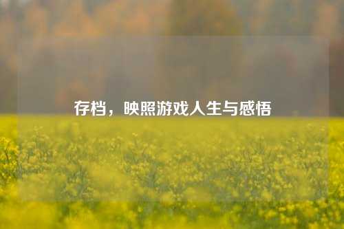 存档,映照游戏人生与感悟