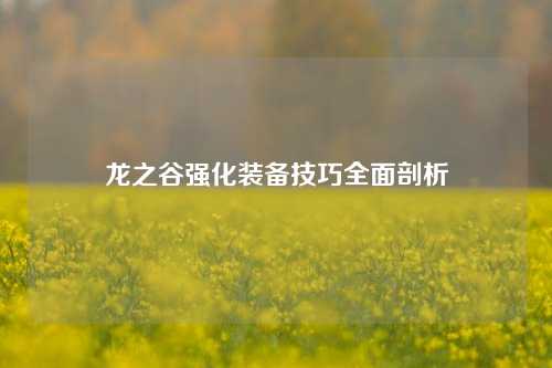 龙之谷强化装备技巧全面剖析