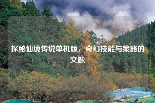 探秘仙境传说单机版,奇幻技能与策略的交融