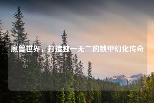 魔兽世界,打造独一无二的锁甲幻化传奇