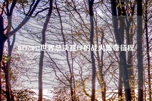 WCG2012世界总决赛CF的战火传奇征程