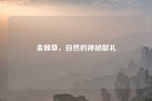 金棘草,自然的神秘献礼