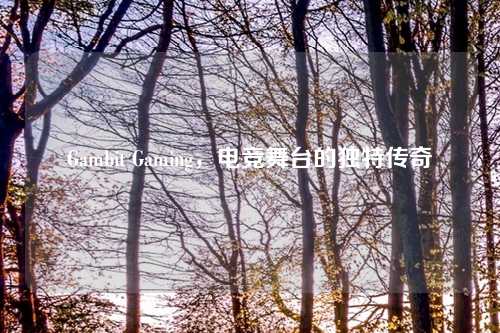 Gambit Gaming，电竞舞台的独特传奇