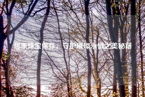 居家珠宝保存,守护璀璨永恒之美秘籍