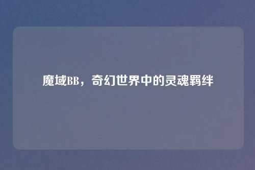魔域BB，奇幻世界中的灵魂羁绊