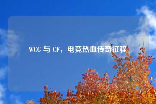 WCG 与 CF，电竞热血传奇征程