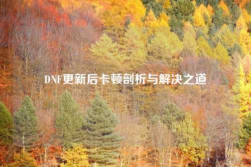 DNF更新后卡顿剖析与解决之道