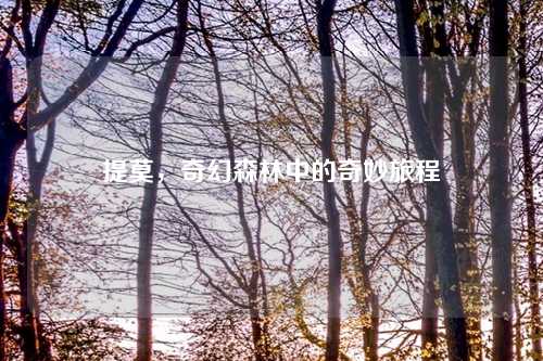 提莫,奇幻森林中的奇妙旅程