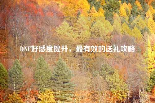 DNF好感度提升,最有效的送礼攻略