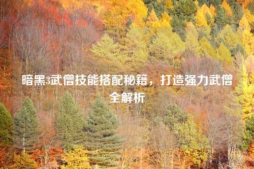 暗黑3武僧技能搭配秘籍,打造强力武僧全解析