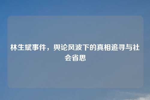 林生斌事件，舆论风波下的真相追寻与社会省思