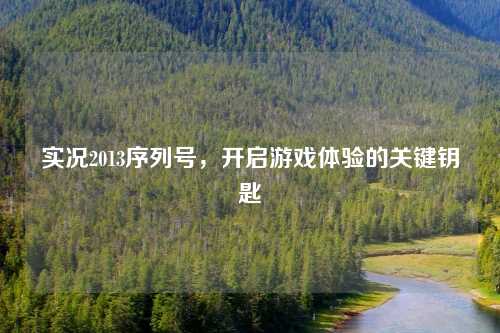 实况2013序列号,开启游戏体验的关键钥匙