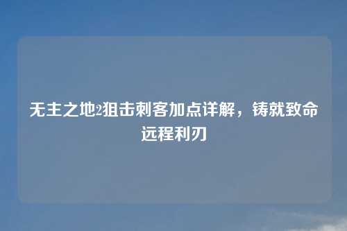 无主之地2狙击刺客加点详解,铸就致命远程利刃