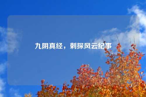 九阴真经，刺探风云纪事