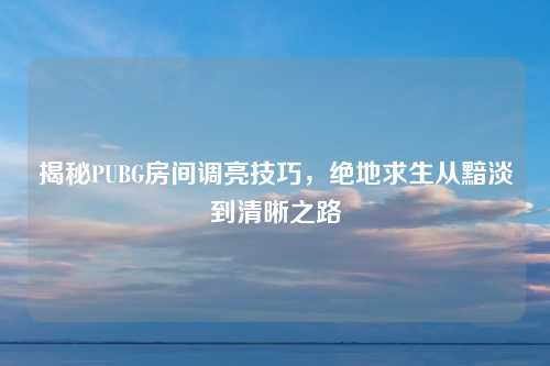 揭秘PUBG房间调亮技巧，绝地求生从黯淡到清晰之路