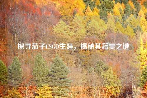 探寻茄子CSGO生涯，揭秘其籍贯之谜